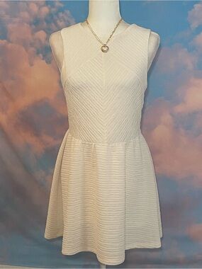 Feminine & Chic Ivory Textured Fit & Flare Mini Dress
